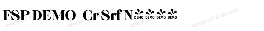 FSP DEMO   Cr Srf N字体转换